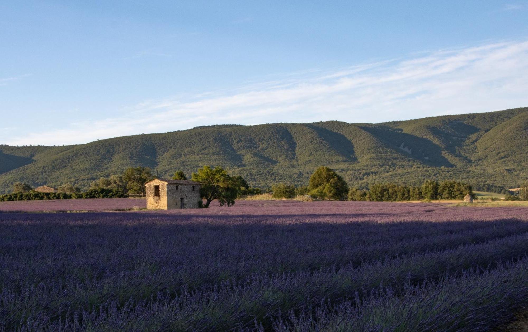 Studio Dans Le Luberon Cereste ภายนอก รูปภาพ