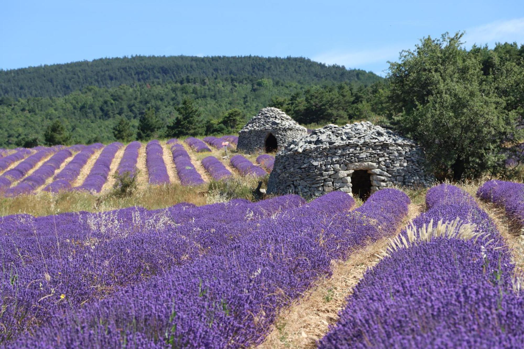 Studio Dans Le Luberon Cereste ภายนอก รูปภาพ